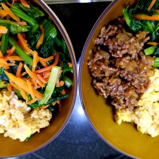 がっつり三色丼